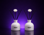 Sèduce Haven | Reed Diffuser | White 50ml