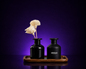 Sèduce Haven | Reed Diffuser | Black 100 ml