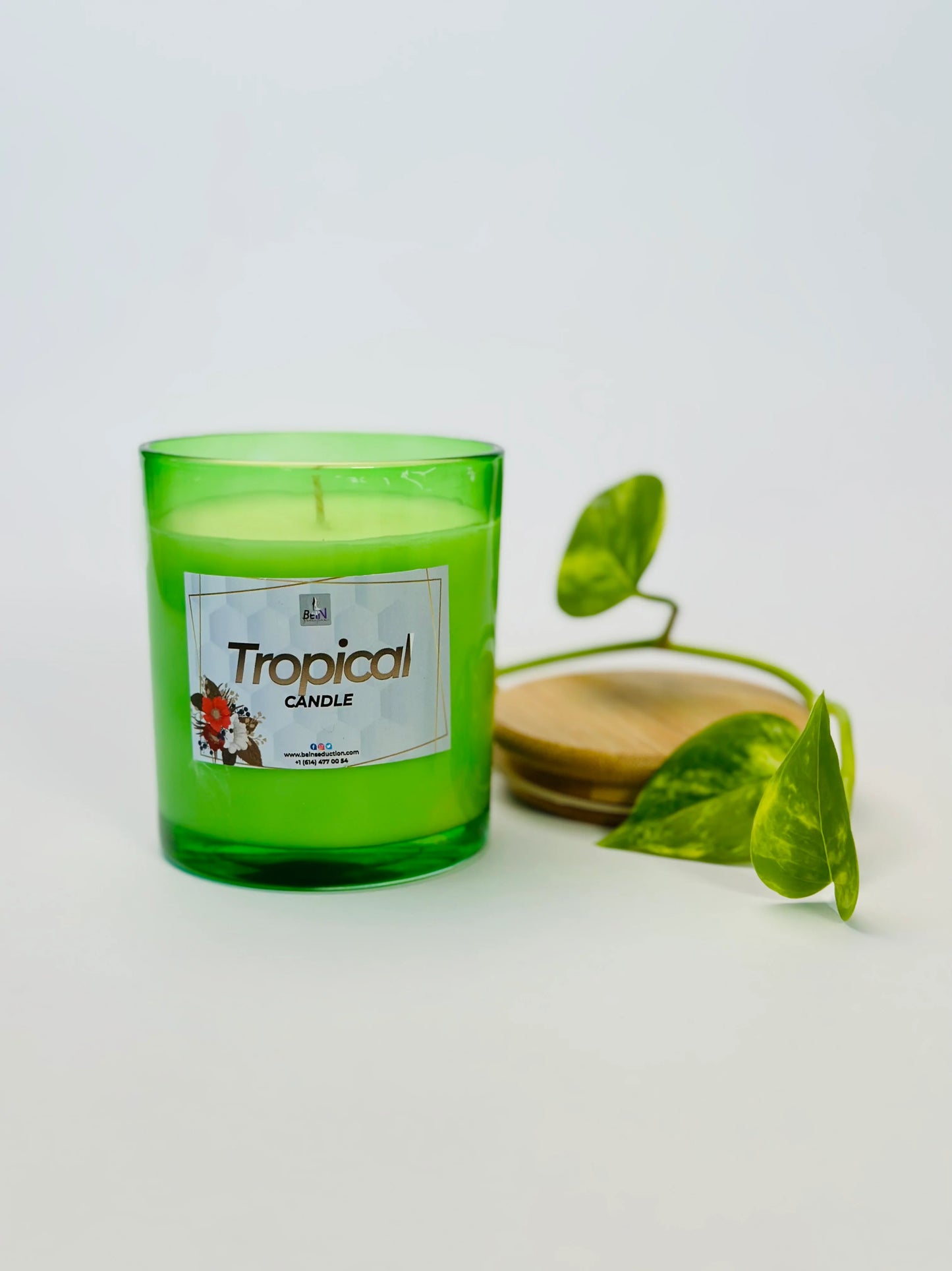 Tropical Soy Single Wick Wax Candle